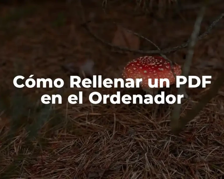 Cómo Rellenar un PDF en el Ordenador