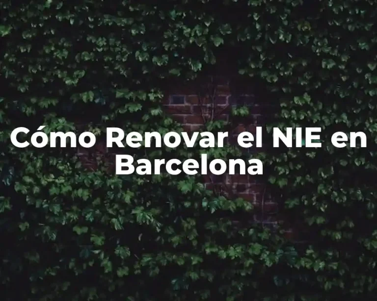 Cómo Renovar el NIE en Barcelona