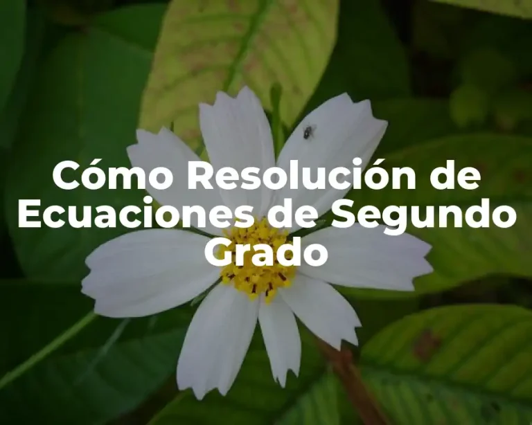 Cómo Resolución de Ecuaciones de Segundo Grado