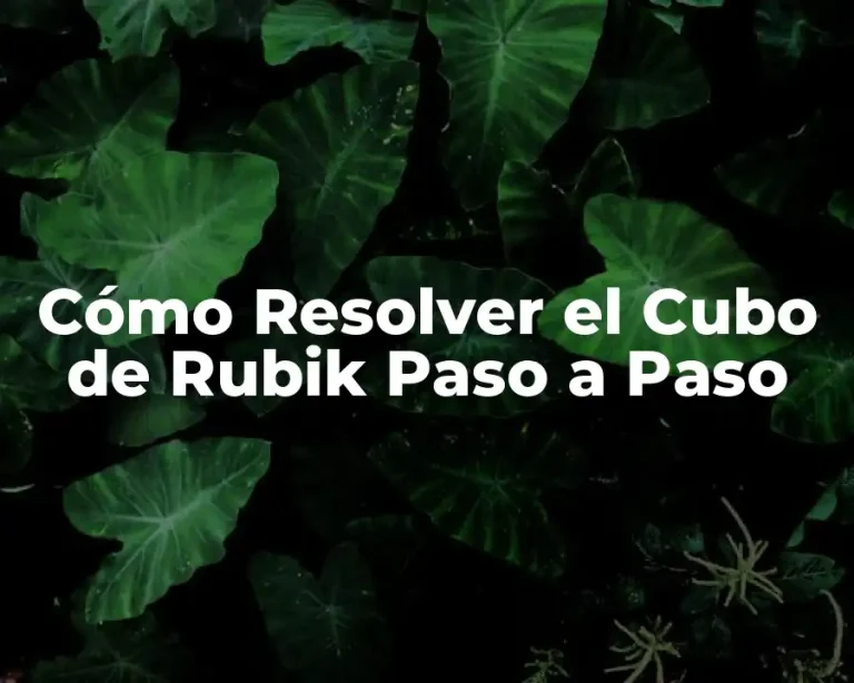 Cómo Resolver el Cubo de Rubik Paso a Paso