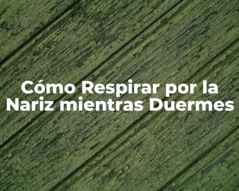 Cómo Respirar por la Nariz mientras Duermes