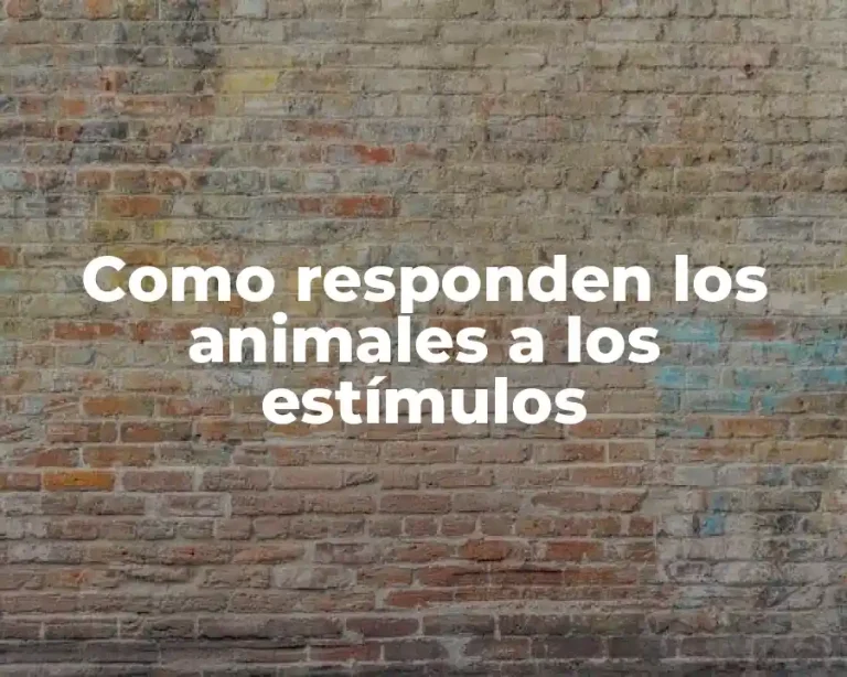 Como responden los animales a los estímulos