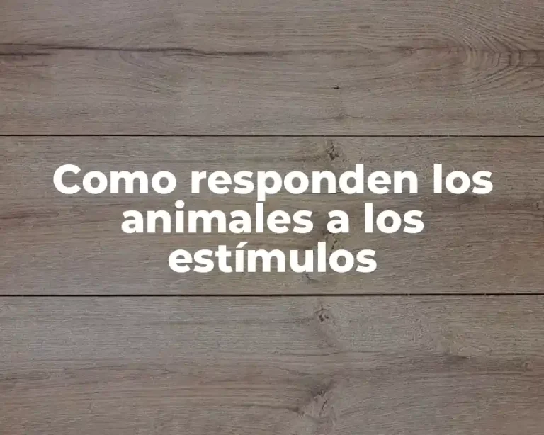 Como responden los animales a los estímulos