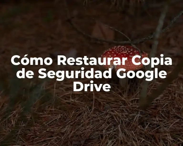 Cómo Restaurar Copia de Seguridad Google Drive