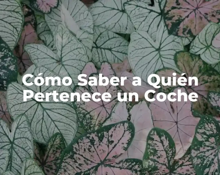 Cómo Saber a Quién Pertenece un Coche