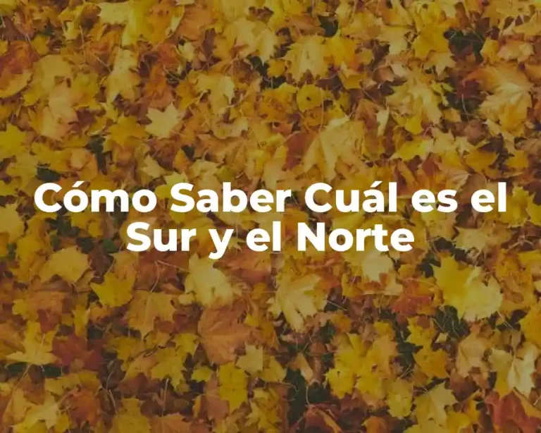 Cómo Saber Cuál es el Sur y el Norte