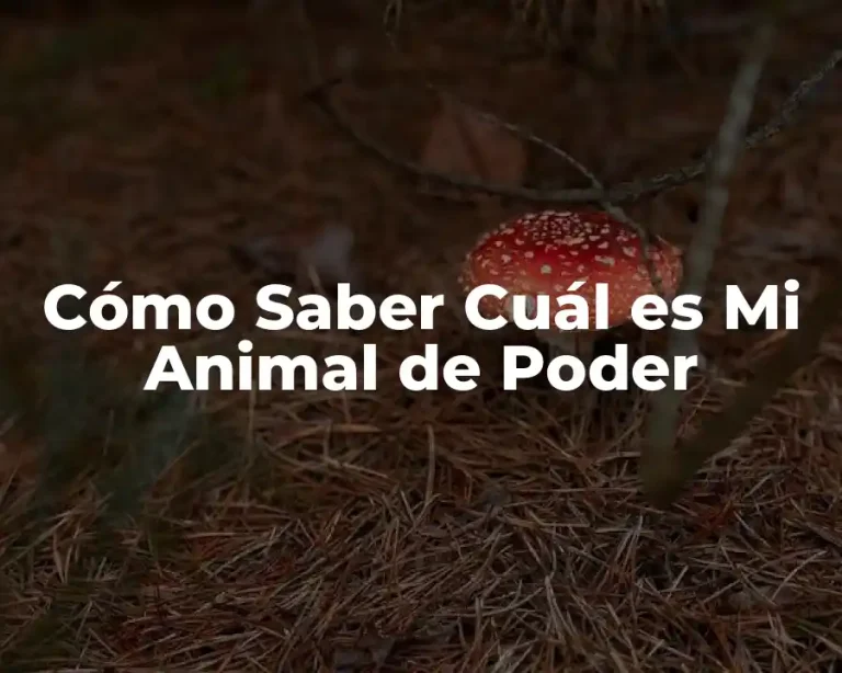Cómo Saber Cuál es Mi Animal de Poder