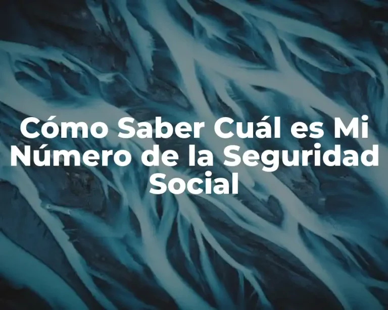 Cómo Saber Cuál es Mi Número de la Seguridad Social