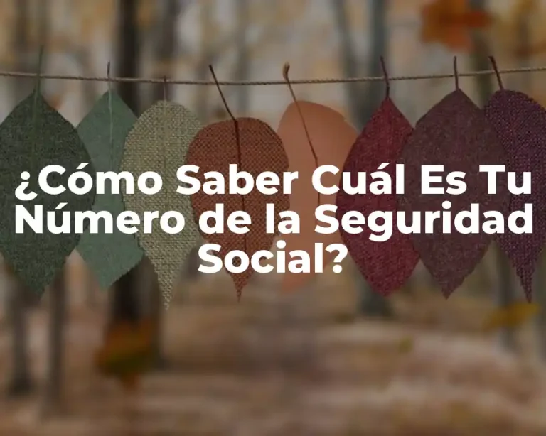 ¿Cómo Saber Cuál Es Tu Número de la Seguridad Social?