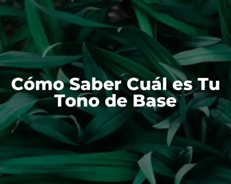 Cómo Saber Cuál es Tu Tono de Base