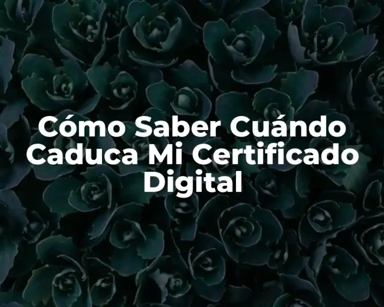 Cómo Saber Cuándo Caduca Mi Certificado Digital