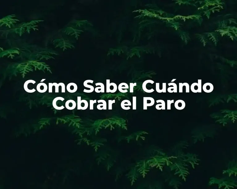 Cómo Saber Cuándo Cobrar el Paro