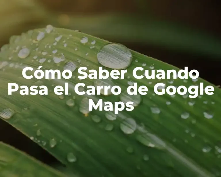 Cómo Saber Cuando Pasa el Carro de Google Maps