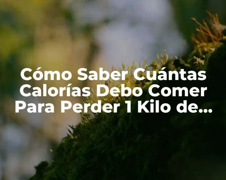 Cómo Saber Cuántas Calorías Debo Comer Para Perder 1 Kilo de Peso