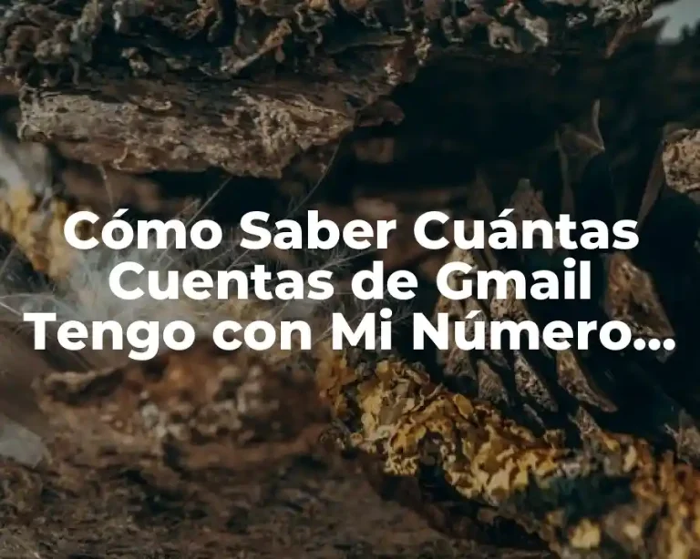 Cómo Saber Cuántas Cuentas de Gmail Tengo con Mi Número de Teléfono