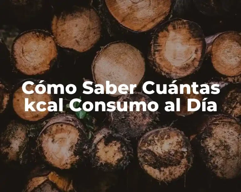 Cómo Saber Cuántas kcal Consumo al Día