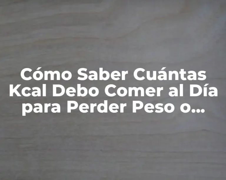 Cómo Saber Cuántas Kcal Debo Comer al Día para Perder Peso o Mantener mi Salud