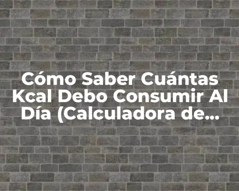 Cómo Saber Cuántas Kcal Debo Consumir Al Día (Calculadora de Kcal)