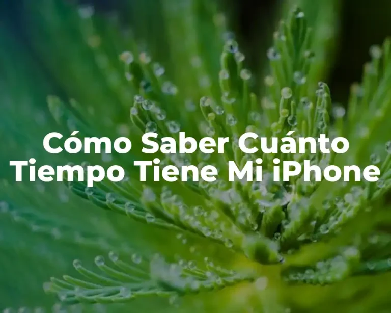 Cómo Saber Cuánto Tiempo Tiene Mi iPhone