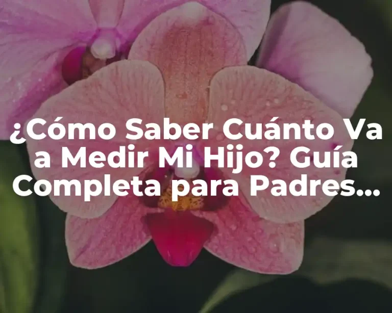 ¿Cómo Saber Cuánto Va a Medir Mi Hijo? Guía Completa para Padres Preocupados