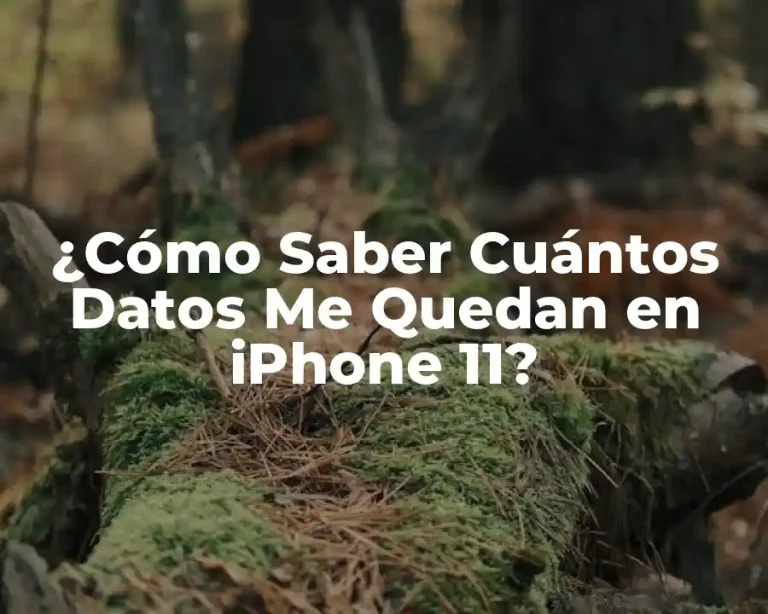 ¿Cómo Saber Cuántos Datos Me Quedan en iPhone 11?