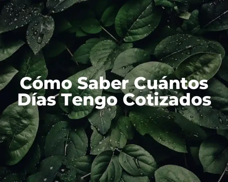 Cómo Saber Cuántos Días Tengo Cotizados