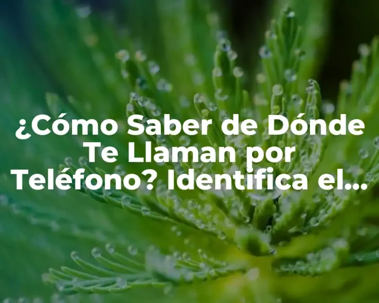 ¿Cómo Saber de Dónde Te Llaman por Teléfono? Identifica el Origen de las Llamadas Desconocidas
