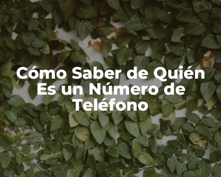 Cómo Saber de Quién Es un Número de Teléfono
