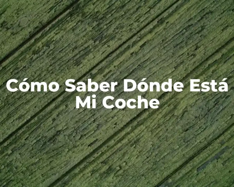 Cómo Saber Dónde Está Mi Coche