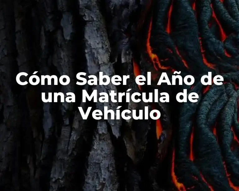 Cómo Saber el Año de una Matrícula de Vehículo