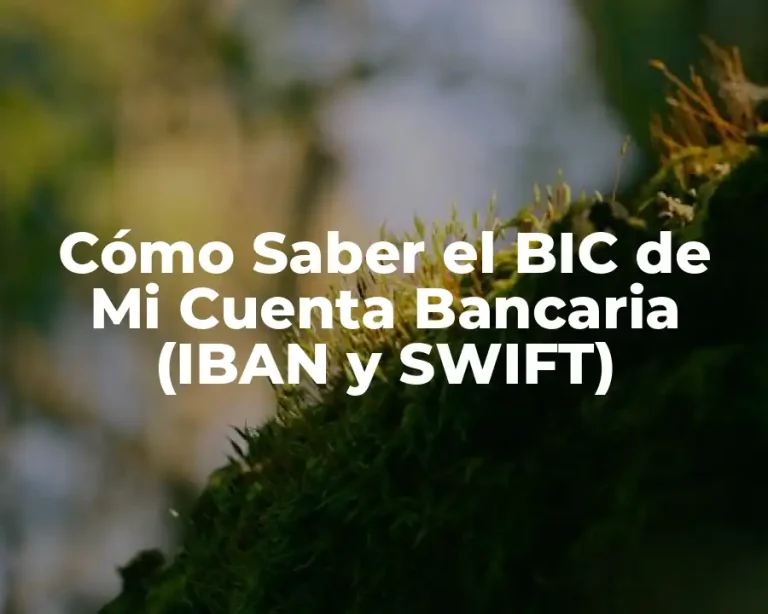 Cómo Saber el BIC de Mi Cuenta Bancaria (IBAN y SWIFT)