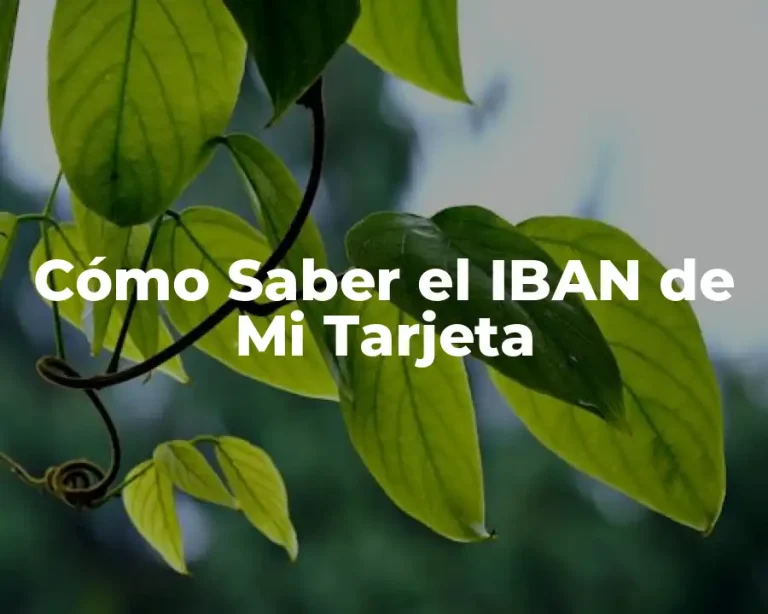 Cómo Saber el IBAN de Mi Tarjeta