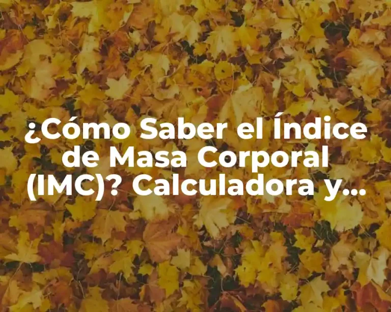 ¿Cómo Saber el Índice de Masa Corporal (IMC)? Calculadora y Fórmula