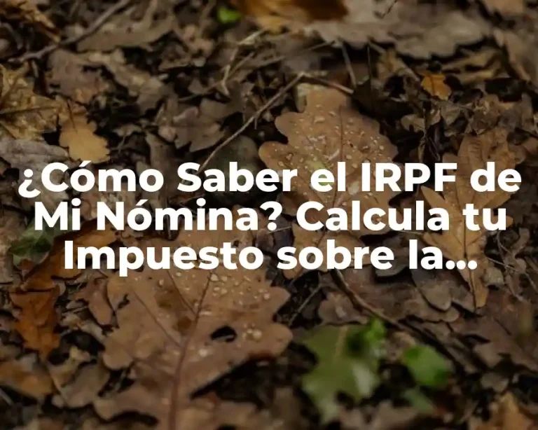 ¿Cómo Saber el IRPF de Mi Nómina? Calcula tu Impuesto sobre la Renta de las Personas Físicas