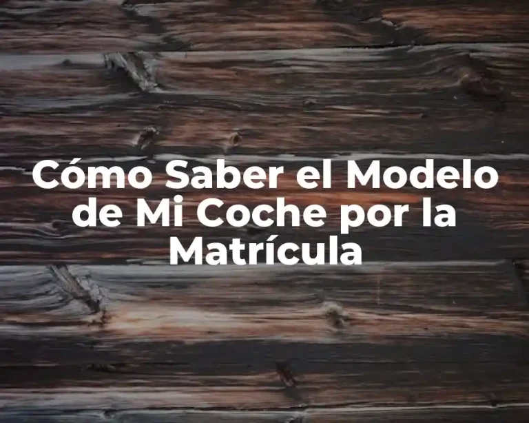 Cómo Saber el Modelo de Mi Coche por la Matrícula