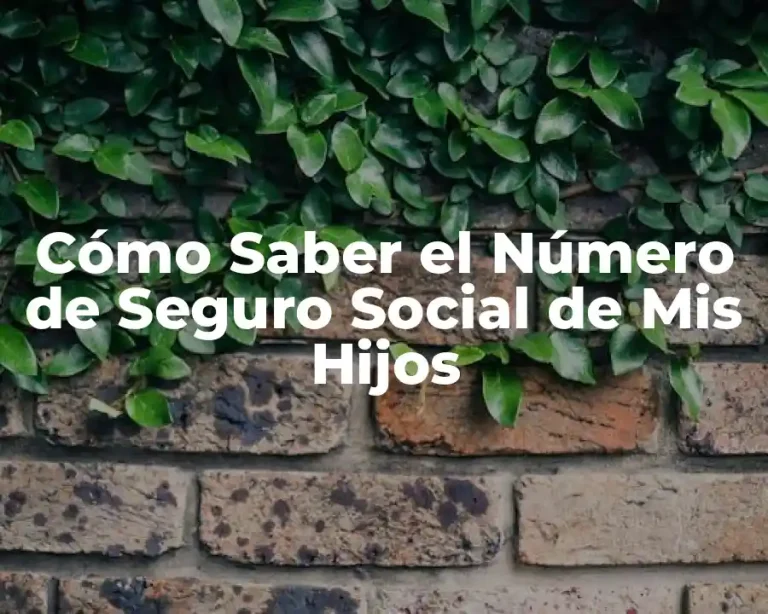 Cómo Saber el Número de Seguro Social de Mis Hijos