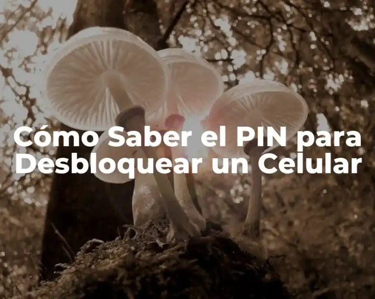 Cómo Saber el PIN para Desbloquear un Celular