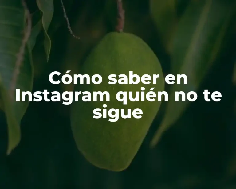 Cómo saber en Instagram quién no te sigue
