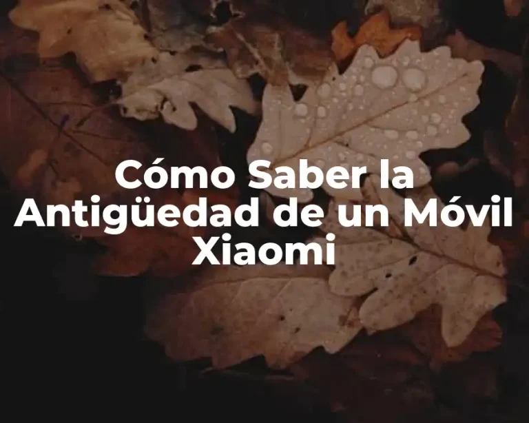 Cómo Saber la Antigüedad de un Móvil Xiaomi