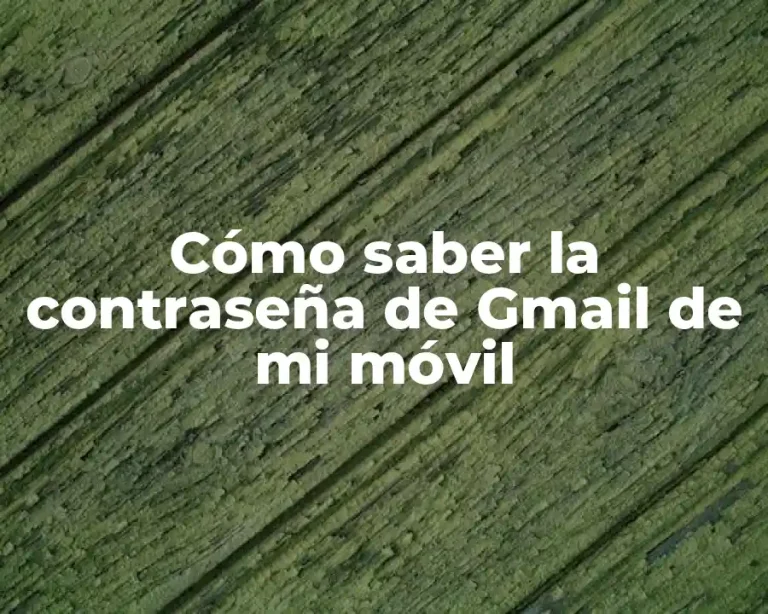 Cómo saber la contraseña de Gmail de mi móvil