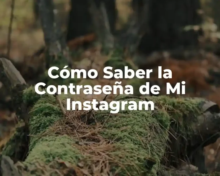 Cómo Saber la Contraseña de Mi Instagram