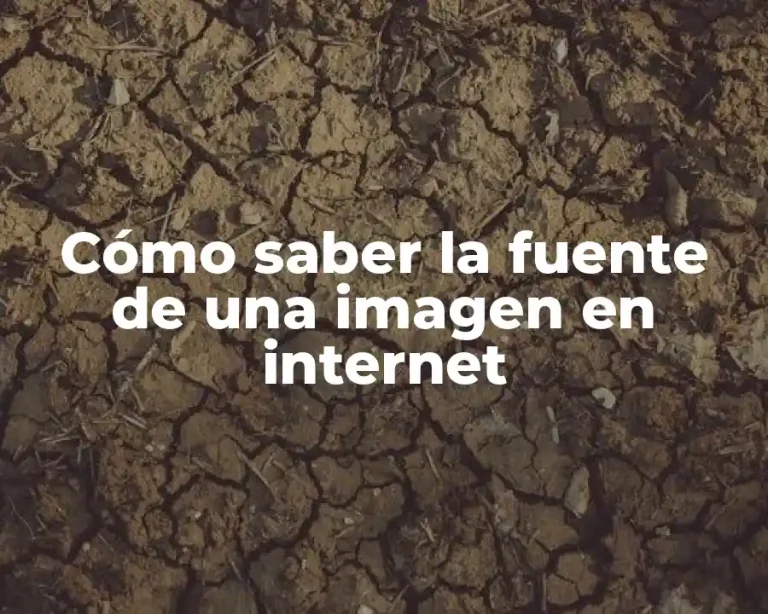 Cómo saber la fuente de una imagen en internet