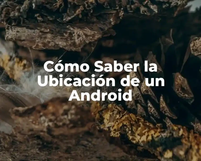 Cómo Saber la Ubicación de un Android