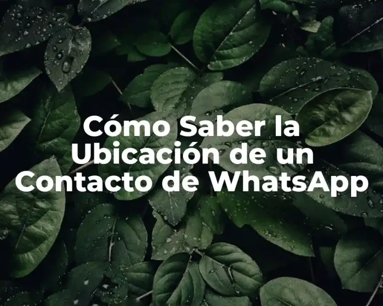 Cómo Saber la Ubicación de un Contacto de WhatsApp