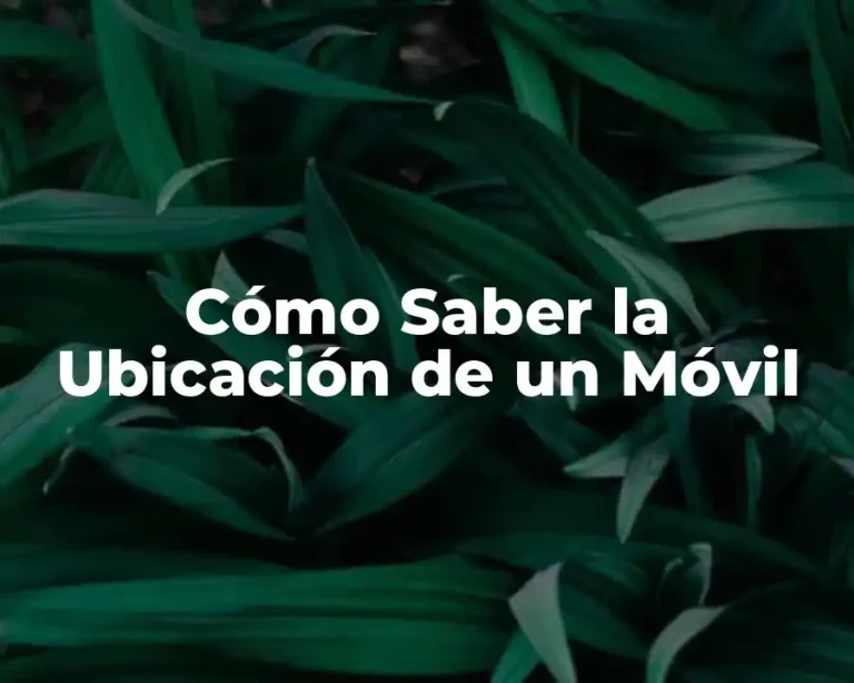 Cómo Saber la Ubicación de un Móvil