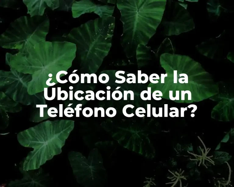 ¿Cómo Saber la Ubicación de un Teléfono Celular?