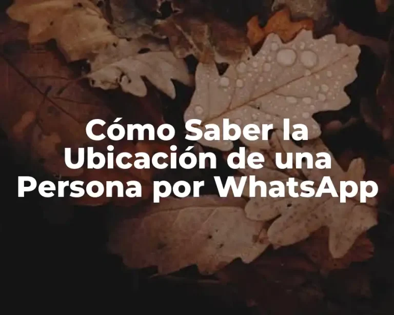 Cómo Saber la Ubicación de una Persona por WhatsApp