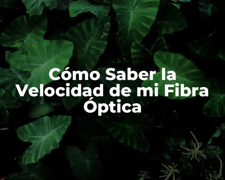 Cómo Saber la Velocidad de mi Fibra Óptica