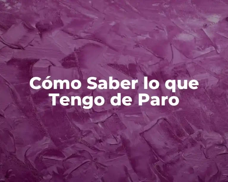 Cómo Saber lo que Tengo de Paro