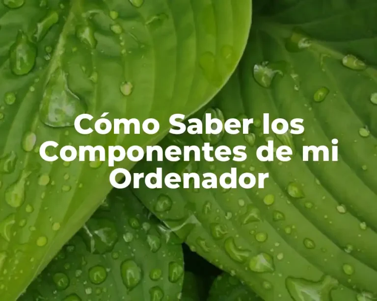 Cómo Saber los Componentes de mi Ordenador